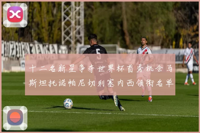 十二名新星争夺世界杯首秀机会马斯坦托诺帕尼切利塞内西领衔名单